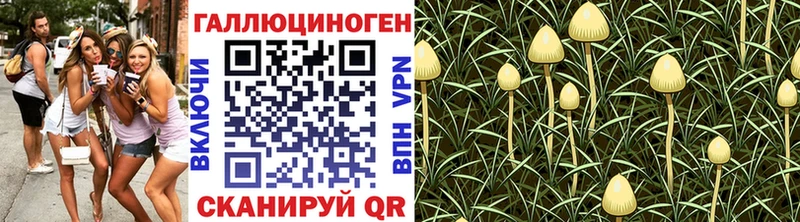 продажа наркотиков  Новочеркасск  Галлюциногенные грибы MAGIC MUSHROOMS 